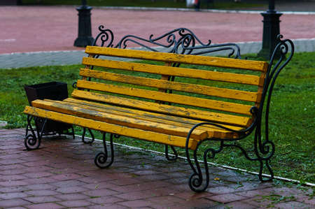 A yellow bench against the backdrop of a mowed lawn.の写真素材