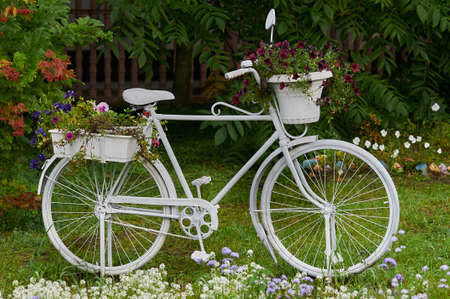 White bicycle with fresh flowers on a green lawn. Garden landscape concept. Bushes, trees and a fence in the background in blur.の写真素材