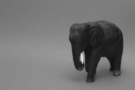 Realistic miniature figure of an elephant on a gray background. Elephant toy.の写真素材