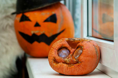 Two halloween pumpkins on the windowsill. Black drawing, carving, hat and lenses.の写真素材