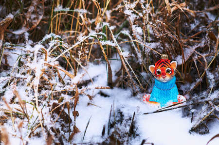 A toy tiger, a symbol of the new 2022, sits in the forest on white snow in a blue sweater. Christmas tree decoration. Dry plants in the background. Merry Christmas. Selective focus.の写真素材