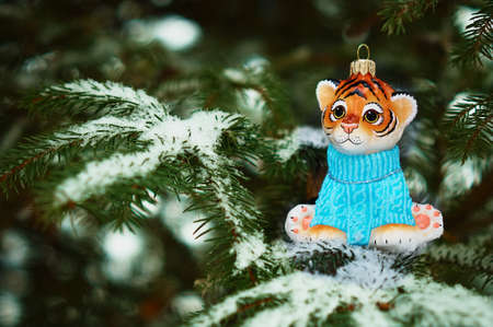 Red Tigris on a snowy christmas tree branch. Tiger symbol of the new 2022 year. Merry Christmas. Happy New Year.の写真素材