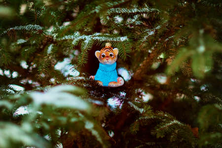 Red Tigris on a snowy christmas tree branch. Tiger symbol of the new 2022 year. Merry Christmas. Happy New Year.の写真素材