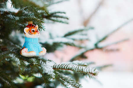 Red Tigris on a snowy christmas tree branch. Tiger symbol of the new 2022 year. Merry Christmas. Happy New Year.の写真素材