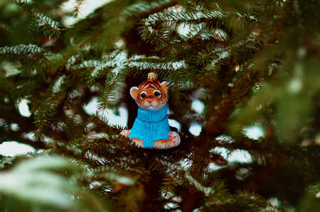 Red Tigris on a snowy christmas tree branch. Tiger symbol of the new 2022 year. Merry Christmas. Happy New Year.の写真素材