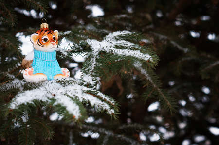 Red Tigris on a snowy christmas tree branch. Tiger symbol of the new 2022 year. Merry Christmas. Happy New Year.の写真素材