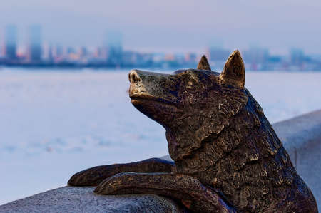 Bronze statue of a dog on the fence of the city embankment of the Amur River. Winter morning. Blurred city of Heihe, China. Monument of fidelity on the promenade of the city of Blagoveshchensk, Russiaの写真素材
