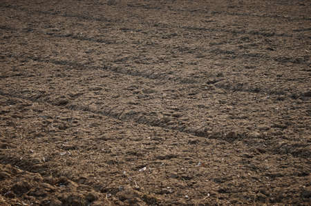 Strips of dug up fertile land are ready for planting vegetable plants. Agricultural work in spring....