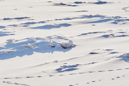 Snow and ice in winter. Natural texture. Light and shadows on a sunny day on the river. Winding dog tracks. Traces of people and animals in the snow.の写真素材