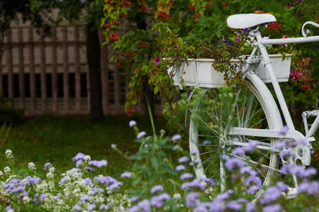 A white antique bicycle decorated with fresh flowers stands next to a red rowan bush. Beginning of autumn. Selective focus.の写真素材