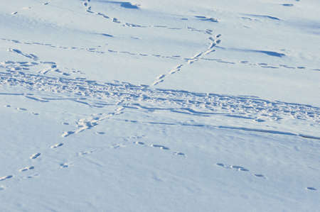 Footprints in the snow on a sunny winter day. view from above.の写真素材