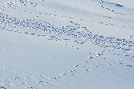 Footprints in the snow on a sunny winter day. view from above.の写真素材