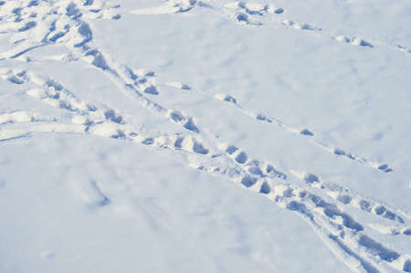 Footprints in the snow on a sunny winter day. view from above.の写真素材