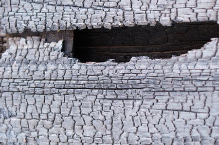 Fragment of a burn log hut. After the fire. Texture of charred wood. selective focus.の写真素材