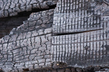 Fragment of a burn log hut. After the fire. Texture of charred wood. selective focus.の写真素材