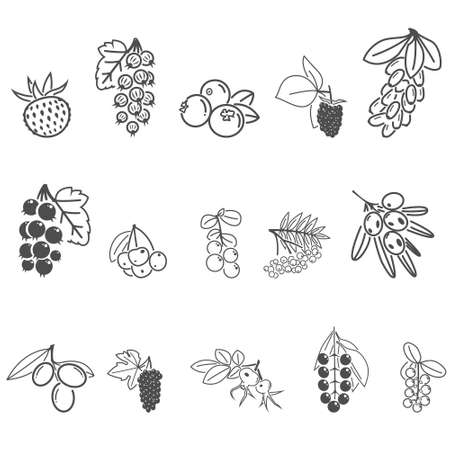Icons of berries.Rose hips, strawberries, cherries, cherries, cranberries, cranberries,barberry,...