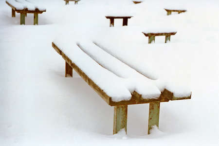 natureの写真素材