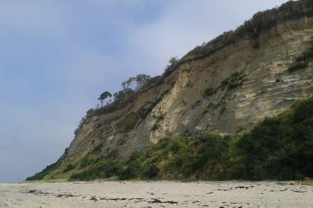 natureの写真素材