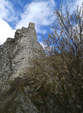 Landscapeの写真素材