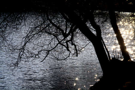 natureの写真素材