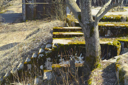 nature, landscapeの写真素材