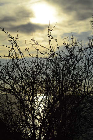 nature, landscapeの写真素材