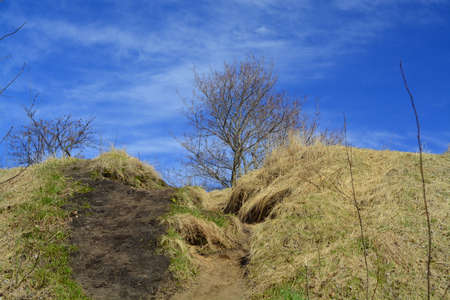 nature, landscapeの写真素材