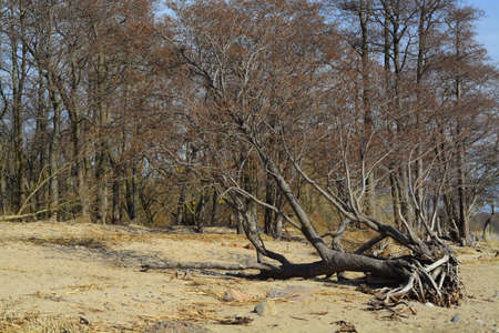 nature, landscapeの写真素材