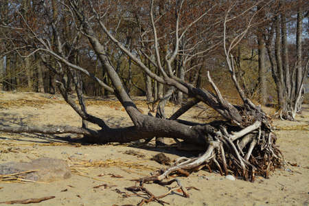 nature, landscapeの写真素材