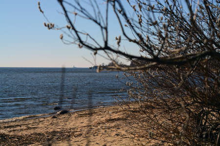 nature, landscapeの写真素材