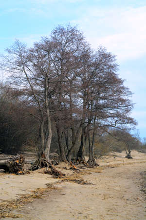 nature, landscapeの写真素材