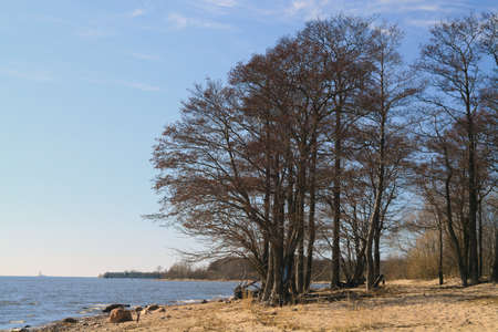 Natureの写真素材