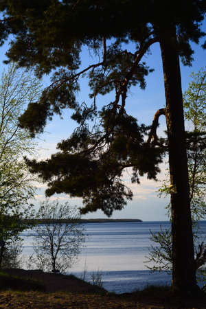 landscapeの写真素材