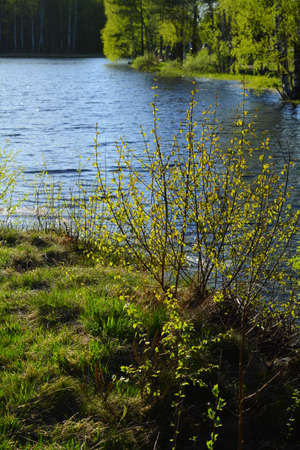 landscapeの写真素材