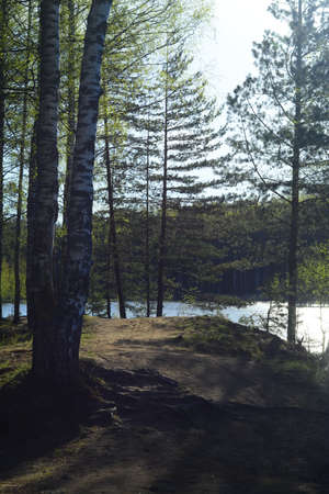 landscape, natureの写真素材