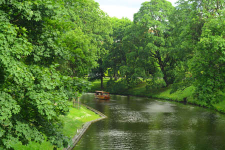 Natureの写真素材