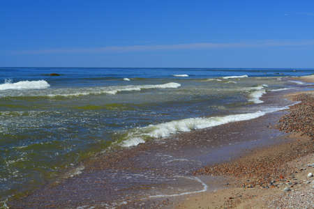 Natureの写真素材