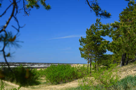 Natureの写真素材