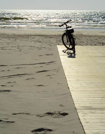 Natureの写真素材