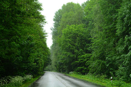Nature