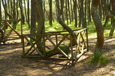 Natureの写真素材