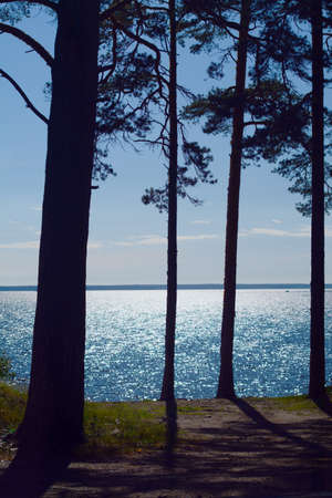 By the lakeの写真素材