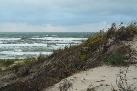 rain over the sea, October 2017, Klaipedaの写真素材