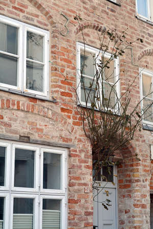 spring LÃ¼beck, March 2018, Germanyの写真素材