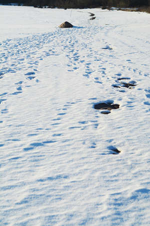 winter park, 2018, St. Petersburgの写真素材