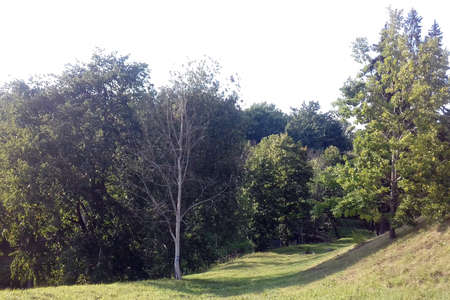 summer in Estonia, July 2018のeditorial素材