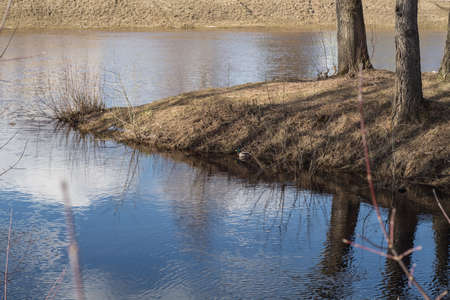 spring lake, March 2019, Tikhvin, Russia