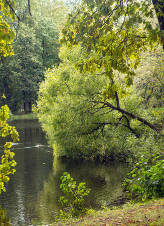 autumn landscape, September 2019, St. Petersburg, Russia