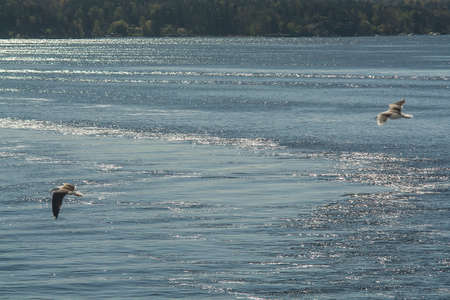 spring lake, May 2019, Stockholm, Swedenの写真素材