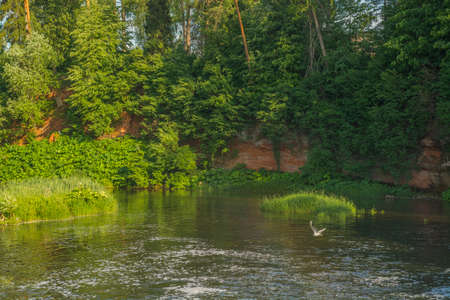 summer river, June 2019, Leningrad region, Russia